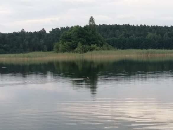 Eko-fish Bauernhof